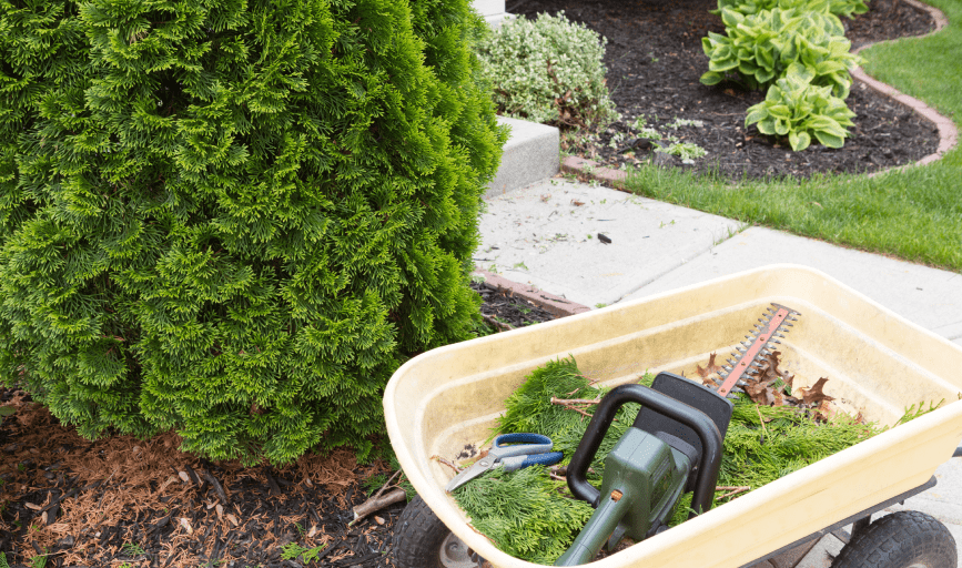 Garden Maintenance